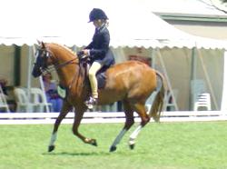 thefootmanoffalconhurst2.jpg (9689 bytes)