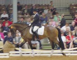 2annakara.jpg (11444 bytes)