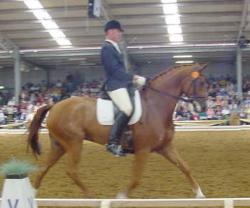 2cinderella1.jpg (10810 bytes)