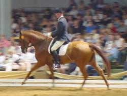 2cinderella2.jpg (10537 bytes)