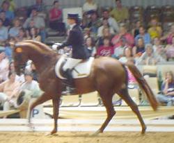 2copenhagen3.jpg (11938 bytes)