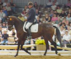 2inspector1.jpg (12060 bytes)