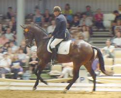 2inspector3.jpg (11477 bytes)