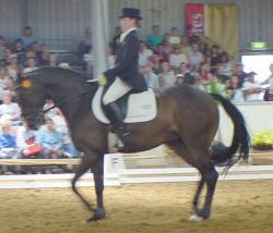 2jbanzac1.jpg (11320 bytes)