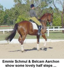 emmieba2.jpg (13517 bytes)