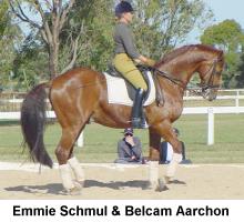 emmieba3.jpg (12684 bytes)