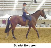 scarlet1.jpg (10408 bytes)