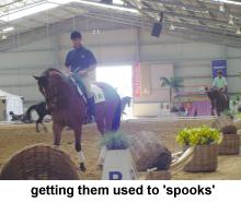 spooks.jpg (9674 bytes)