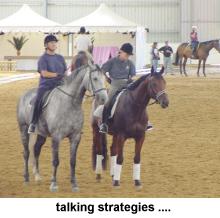 strategies1.jpg (10873 bytes)