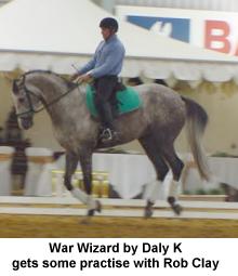 warwizad1.jpg (11132 bytes)