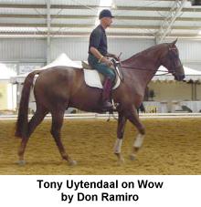 wow1.jpg (11549 bytes)