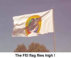 feiflag.jpg (6564 bytes)