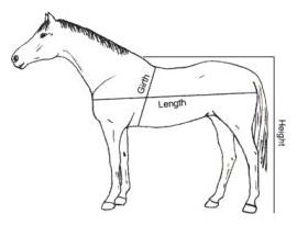 horseweight.jpg (7496 bytes)