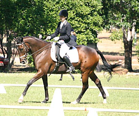 Darwin Dressage Club Committee person Sarah Fisher on her lovely