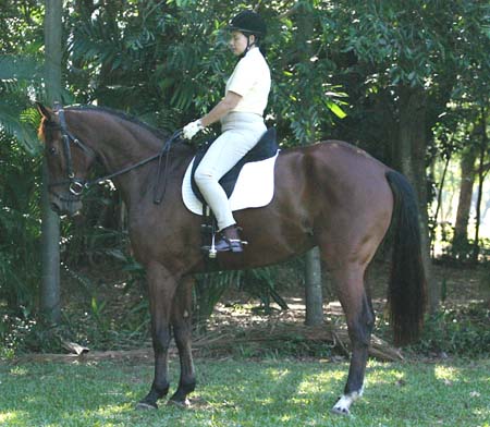 Jody Wilkinson on Cyberhorse Virtual Equestrian Cyberhorse Virtual Equestrian