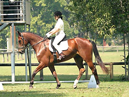 most attractive and talented combination