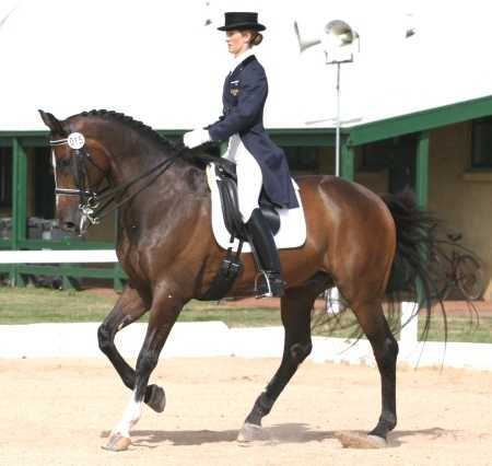 horseback riding quotes. In Riding A Horse We Borrow; horseback riding quotes. History of the horse: