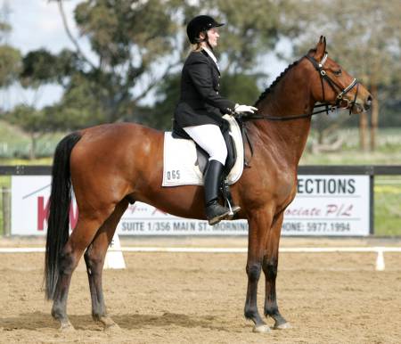 The Virtual Equestrian - Berwic...