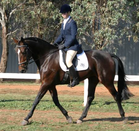 ann romney dressage. Dressage Championships,
