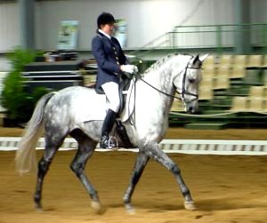 2balmoralice1.jpg (19753 bytes)