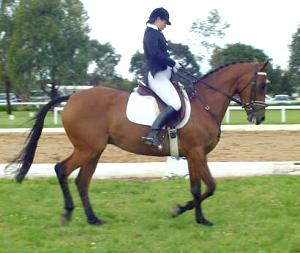 5wprhythmicblue2.jpg (16326 bytes)