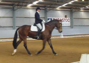 aabriolet1.jpg (15447 bytes)