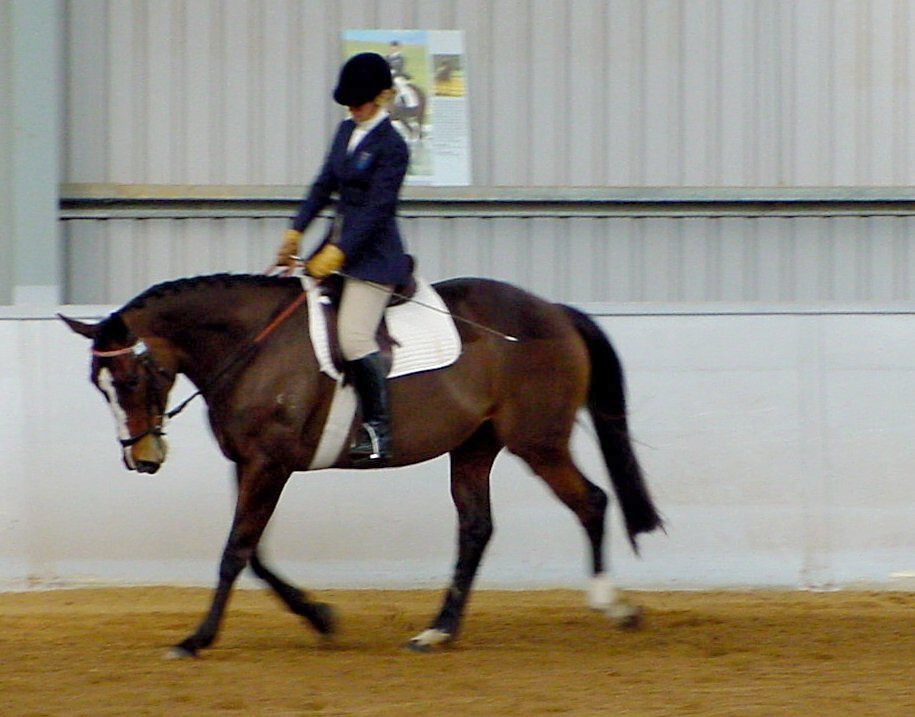 amy1.jpg (93513 bytes)