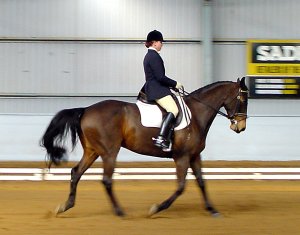 apspellbound1.jpg (16998 bytes)