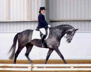 belcamcadet11.jpg (15686 bytes)