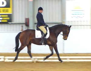 belcamconair12.jpg (15514 bytes)