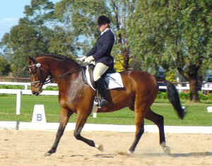 bpfeuerisle21.jpg (24857 bytes)