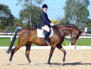 bpfeuerisle22.jpg (23901 bytes)