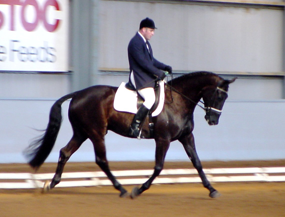 cjpdonnerkohl1.jpg (122299 bytes)