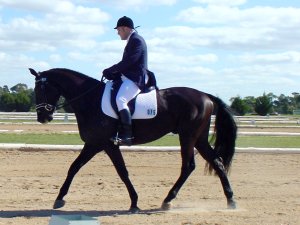 cjpdonnerkohl21.jpg (18534 bytes)