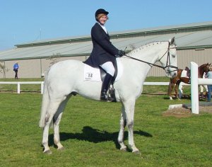 daeainspirado.jpg (19457 bytes)