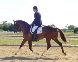 dcoolcat.jpg (16124 bytes)