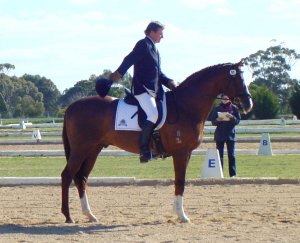 dcoolcat2.jpg (20494 bytes)