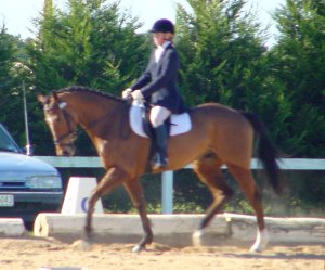 ddartagnan1.jpg (21547 bytes)