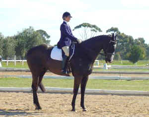 dharlem1.jpg (20783 bytes)