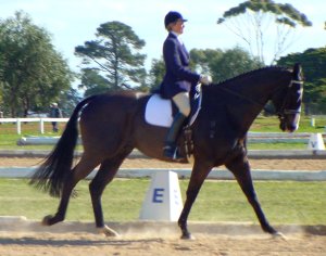 dharlem2.jpg (20752 bytes)