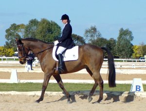 dmrmaxnaughty1.jpg (19905 bytes)