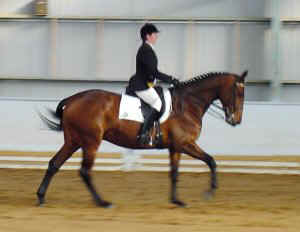 dnthncharmer1.jpg (14612 bytes)