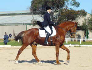 dskansenduende1.jpg (21930 bytes)