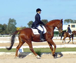 dskansenduende2.jpg (21243 bytes)