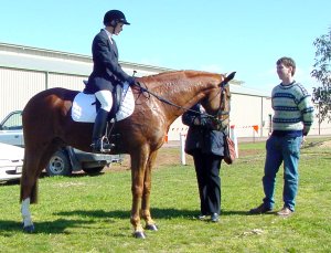 dtinuveildhara.jpg (23269 bytes)