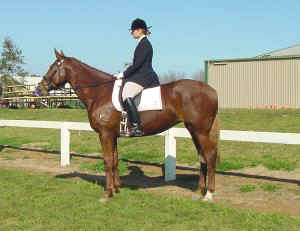 embleyparkdonerisolde21.jpg (19409 bytes)