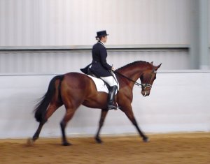 jaybeeamanda1.jpg (12316 bytes)