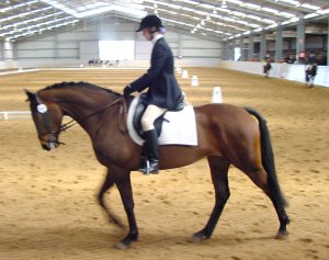 kranapip1.jpg (21403 bytes)