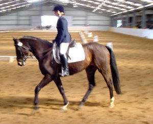 linfordparkdonconcha1.jpg (19611 bytes)