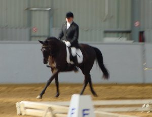 milawaillusion11.jpg (11449 bytes)